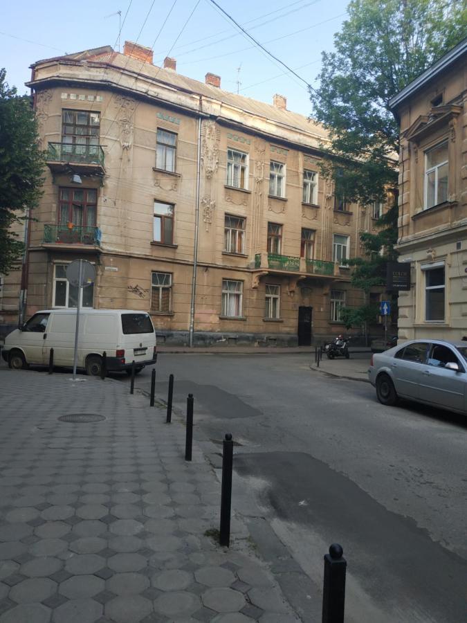 простора сонячна в центрі львова Daire *